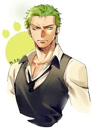One piece, roronoa zoro, sanji (one piece), toko (one piece). Anime Zoro Hair Novocom Top