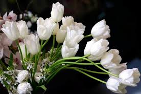 Bouquet bridal blog is about bringing you different bouquet themes and inspirations for you special wedding day! How To Increase The Beauty Of White Tulip Flowers Pouted Com