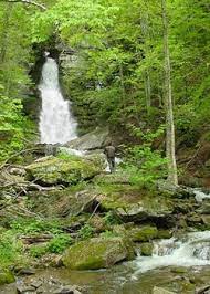 Sundown Wild Forest Nys Dept Of Environmental Conservation Wild Forest Forest Waterfall