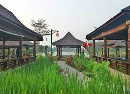 Suasana di dalam tempat makan terasa sangat asri. Rumah Makan Tepi Sawah Di Cikarang Untuk Family Time
