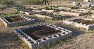 How to start a garden in arizona. Arizona Gardening A Permaculture Garden Design