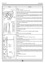 19 Plant Tissues Page 2 Jpg In 2020 Plant Tissue This Or That Questions A Level Biology