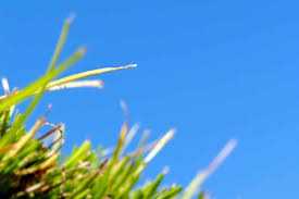 Milf meg ragnell topless Hungarian show