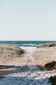 {} follow for more @spring._.glow._.wallpapers. Beach Cafe Pictures Download Free Images On Unsplash