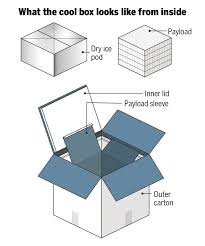 The vials are packed in flat boxes about. Why The Covid Vaccination Has Become An Icebox Challenge Times Of India