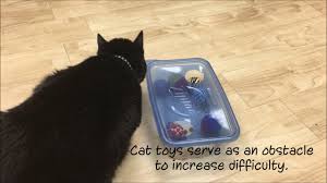 Check spelling or type a new query. Homemade Puzzles Food Puzzles For Cats