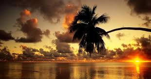 2 buah pohon kelapa di pinggir pantai. Lukisan Pemandangan Di Tepi Pantai Pada Waktu Senja Sebagian Awan Gelap Dan Matahari Sudah Mulai Tengelam M Sunrise Wallpaper Sunset Wallpaper Sunset Nature