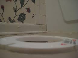 We did not find results for: Advice On Installing Toilet Flange Spacer Plumbing Forums Professional Diy Plumbing Forum