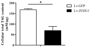 Enter zip code or city, state.error: Effect Of Insig1 On The Milk Fat Synthesis Of Buffalo Mammary Epithelial Cells Journal Of Dairy Research Cambridge Core