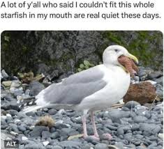 Image result for http://i.imgur.com/9sBdVpV.jpg