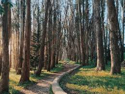 The Most Instagrammable Places In San Francisco Places In San Francisco Instagrammable Places Point Reyes National Seashore