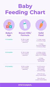 The new tip is to follow 400:600:600. Baby Feeding Schedule Baby Food Chart For The First Year