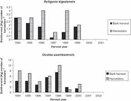 Image result for Rytigynia sp. M