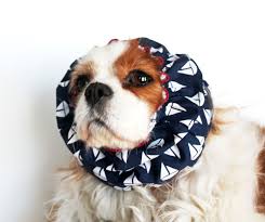 Sailboats Dog Snood Navy Blue Dog Snood Preppy Last One Etsy Dog Snood Blue Dog Snood