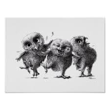Three Crazy Owls Poster Zazzle Com In 2021 Owls Drawing Owl Posters Crazy Owl