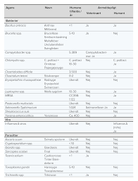 The dog sundhed guide bemærker. Zoonoser Hos Danske Grise Dansk Veterinaertidsskrift