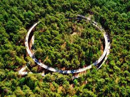 Onderzoek naar betrokkenen dodelijk belgisch drugslab, kijk hier het item van #opsporingverzocht terug. Cycling Through The Trees Hechtel Eksel Belgium Burolandschap