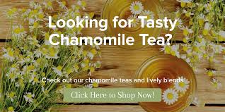If your baby has restless nights, a little chamomile tea before their you can mix some chamomile oil with coconut oil and apply it before your baby's bath. 7 Chamomile Tea Benefits Healthy Skin Hair Sleep And More Sencha Tea Bar
