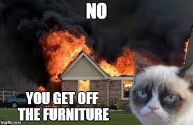 The best furniture memes and images of november 2020. Got Insurance Imgflip