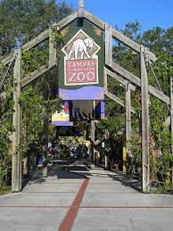 The Unknown Florida Lowry Park Zoo Tampa Fl Busch Gardens Florida Activities Tampa Zoo
