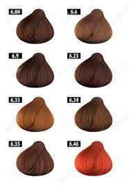 haircolor and hair dye colours chart colour numbers 5