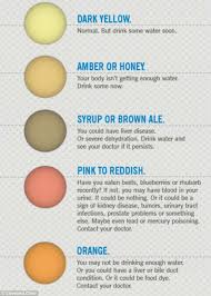 7 Urine Colors That Reveal Important Things About Your Health Endoriot Urinal Color Of Urine Health