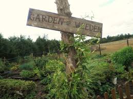 Sign Wood Garden Sign Garden Of Weeden Garden Signs Garden In The Woods Garden Yard Ideas