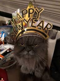 Happy New Year Funny Animal Pictures Animal Pictures Funny Animals