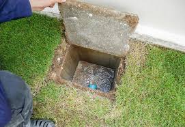 We did not find results for: Bootstrap Business 5 Signs It S Time For A Sewer Line Cleanout And What To Do Next