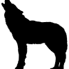 You should still be able to see much of the. Https Encrypted Tbn0 Gstatic Com Images Q Tbn And9gcqifhqz6tmorksxtinlffhn9jnejnwsfmrriges2u Eatt7eh 8 Usqp Cau