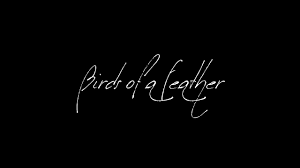 Birds Of A Feather Lyrics Vulfpeck Birds Of A Feather Vulfpeck Cover By Reverb A Cappella Youtube