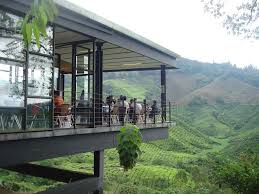 Boh teh cameron highlands 250g recomended. Cafe Sungei Palas Boh Tea Plantation Photo