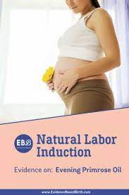 Handouts Midwifery