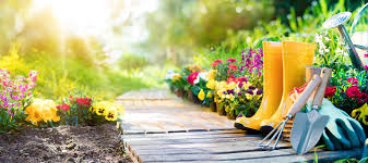 Whether you like sizzling hot color combinations or prefer calming pastel hues, there's a summer planting palette for you. Summer Gardening Plants Bauman S Farm Garden