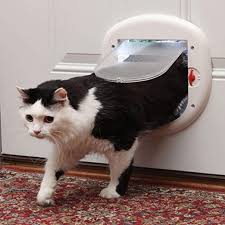 Every day new 3d models from all over the world. Amazon Com Petsafe Interior And Exterior Cat Door Microchip Rfid Pet Door 4 Way Locking Big Cat Works With Up To 40 Programmed Pets Pet Doors Pet Supplies