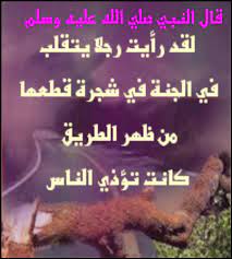 مع الرحمن رفع الأذى وفتح طريق الناس يفتح لك طريق للجنة blog blog posts ahadith