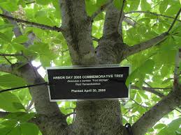 Showy, dense panicles of pink flowers with yellow throats are very attractive in the spring. Photo Of The Stem Scape Stalk Or Bark Of Red Horse Chestnut Aesculus X Carnea Fort Mcnair Posted By Frankrichards16 Garden Org
