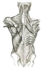 Therapy For The Body Massage In Bend Oregon Michelle Kwok Massage Therapy In Bend Oregon