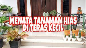 Ingin menata taman depan rumah yang efektif dan efisien? Menata Tanaman Hias Di Teras Kecil Youtube