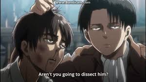 Badass eeuyyy -Porco Galliard