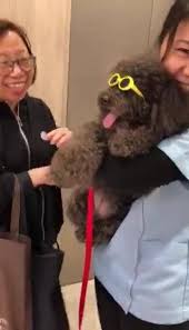 Vega has also attended loyola marymount university and. Happy Pets Veterinary Centre é †å¿ƒå‹•ç‰©è¨ºæ‰€ Home Facebook