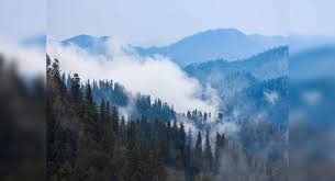 For secrets stored at the environment level. Fagu The Untouched Secret In The Himalayas Times Of India Travel