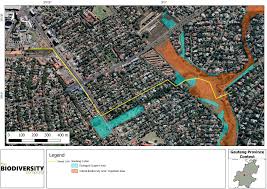 Image result for Aspidoglossum hirundo