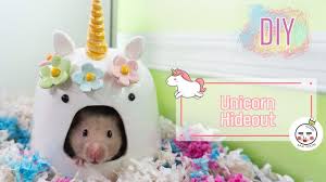 Pin By Sak Soon On Cute Hamsters Hamster Diy Hamster Diy Ceramic