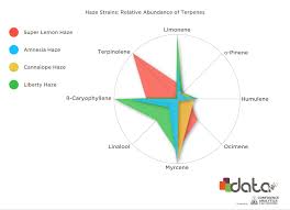 terpenes found in the haze cannabis strain family leafly