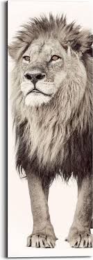 Alle dieren mogen zich kandidaat stellen, maar ze moeten het wel verdienen! Bol Com Leeuw Koning Van De Jungle Roofdier Krachtig Schilderij Deco Panel 30 X 90 Cm