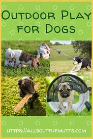 Spectacular Outdoor Play With Your Dog Outdoor Dog Toys Outdoor Dog Dogs