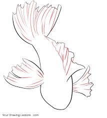 Step by step drawing tutorial on how to draw a koi fish. Koi Fish Drawing How To Novocom Top