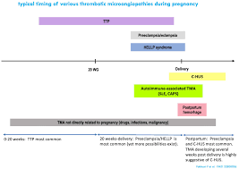Image result for Plasmic Score