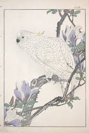 404 file or directory not found japanese vintage art japanese painting japanese drawings